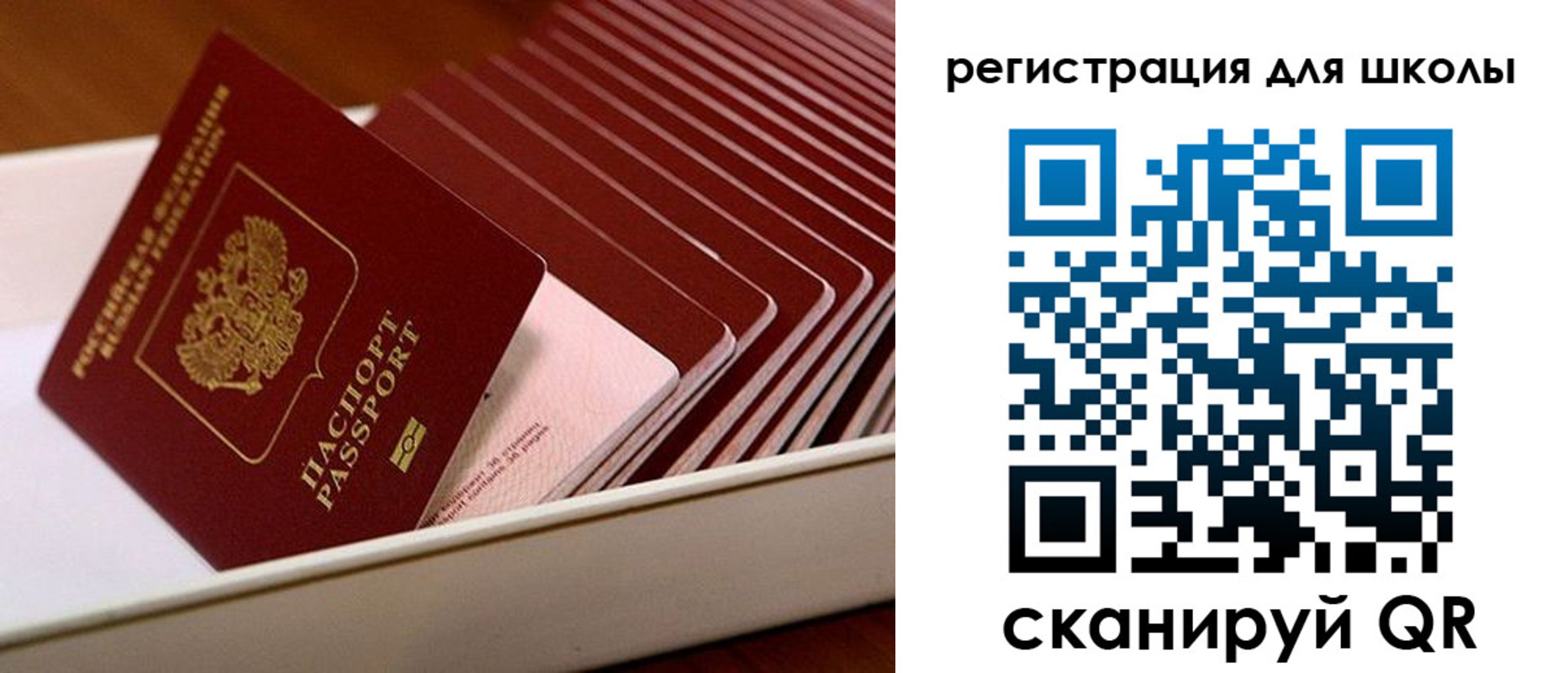 прописка гарантия в Камешково